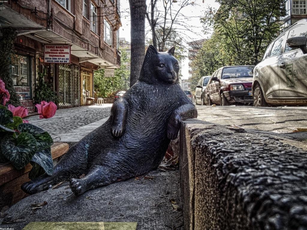 ការវិនិយោគនៅក្នុង DVCasino